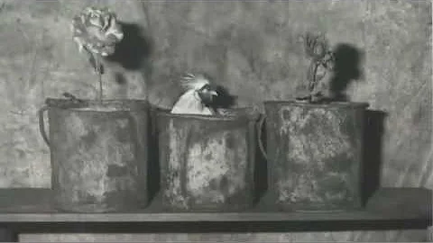 Roger Ballen: Boarding House at Gagosian, 980 Madi...