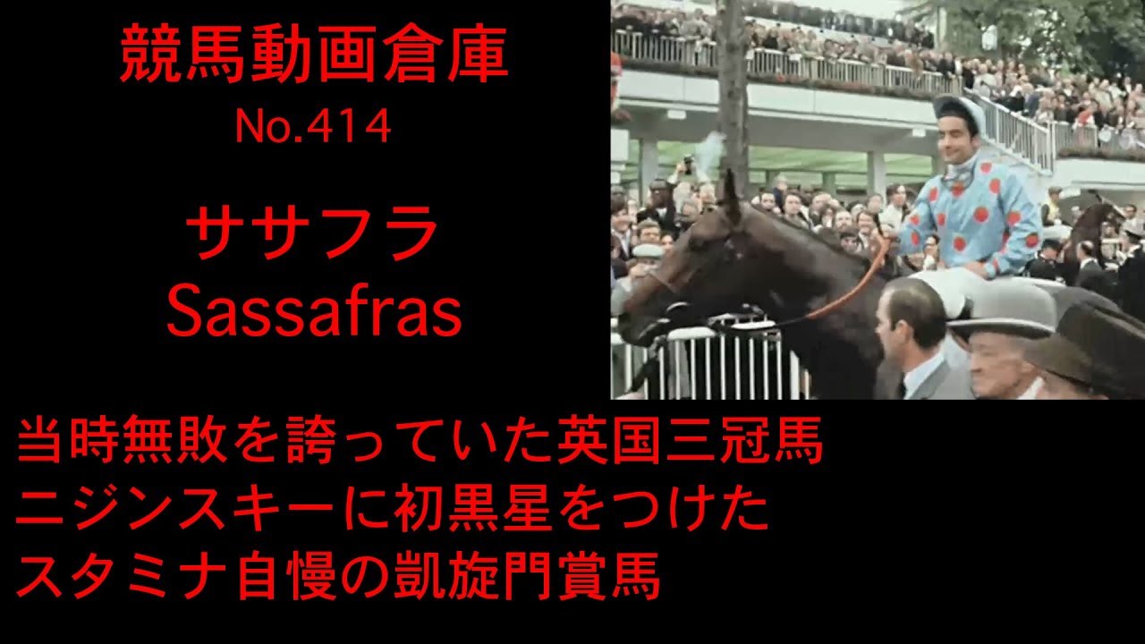 競馬 ササフラ Sassafras No 414 Youtube 競馬 ササフラ Sassafras No 414 Youtube