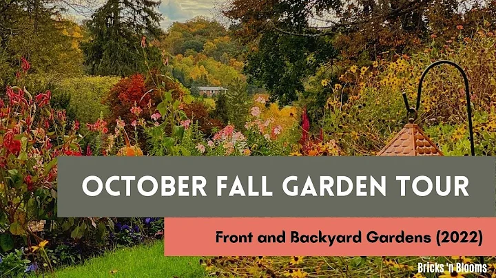 OCTOBER FRONT AND BACKYARD GARDEN TOUR 2022  // Zo...