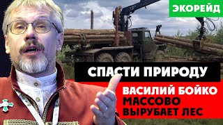 Олигарх Василий Бойко массово вырубает лес в Подмосковье. Экорейд остановил уничтожение природы!