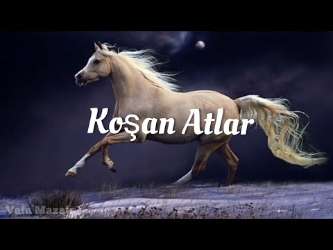 Koşan Atlar Suresi