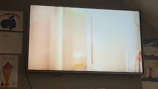 5Usa Bear Ident 2009.