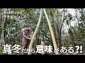真冬にやると本当に違う？竹の1メートル切り