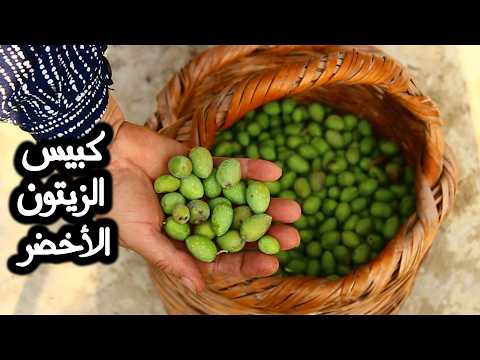 الزيتون الأخضر كبيس بلادي بطريقة تخلي جاهز للأكل خلال اسبوع