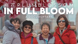 In Full Bloom | Plum Blossom Documentary | East Side Stories