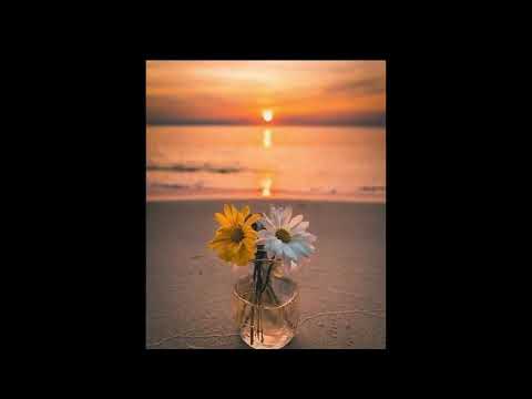 حالات واتس قرآن كريم راحه نفسيه