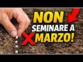 Semina QUESTO a Metà Marzo: L'Errore che Rovinerà il Tuo Raccolto!
