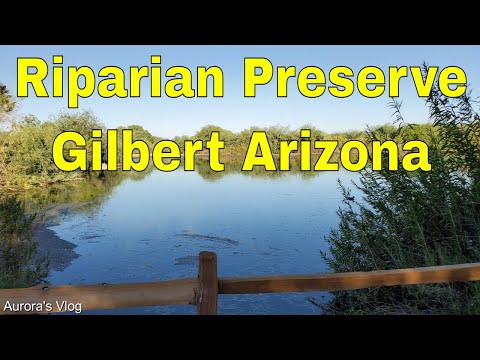 Vidéo: Riparian Preserve au Water Ranch à Gilbert, AZ