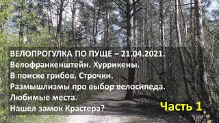 Велопрогулка по Пуще. 21.04.2021 - Часть 1.