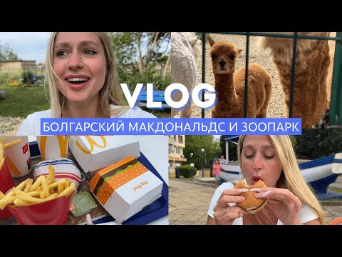 VLOG // МАКДОНАЛЬДС В БОЛГАРИИ // ЗООПАРК С АЛЬПАКАМИ // БЕСКОНЕЧНЫЙ МАГАЗИН