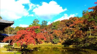 秋の散歩道 4K】Kyoto Japan walk 〡 Beautiful Japanese temple and