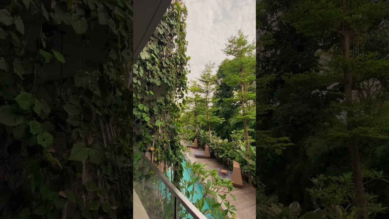 Wake Up to Stunning Views at Maya Sanur