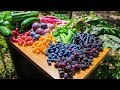 Backyard Gardening Harvest, Sustainable Permaculture Food Forest