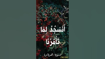 قرآن كريم .. ما تيسر من سورة الفرقان