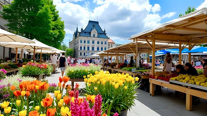 Perfect Summer In Zurich City, Switzerland Walking Tour🇨🇭Impressive Morning Market