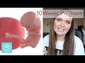 10 weeks pregnant what you need to know   channel mum