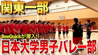 【バレーボール】関東一部の強豪！日本大学男子バレーボール部の練習に潜入してみた【前編】