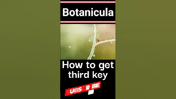 Botanicula How To Get The THIRD Key Guide Kafuga Botanicula Shorts 