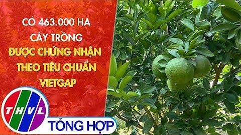 Có 463.000 ha cây trồng được chứng nhận theo tiêu chuẩn VietGAP