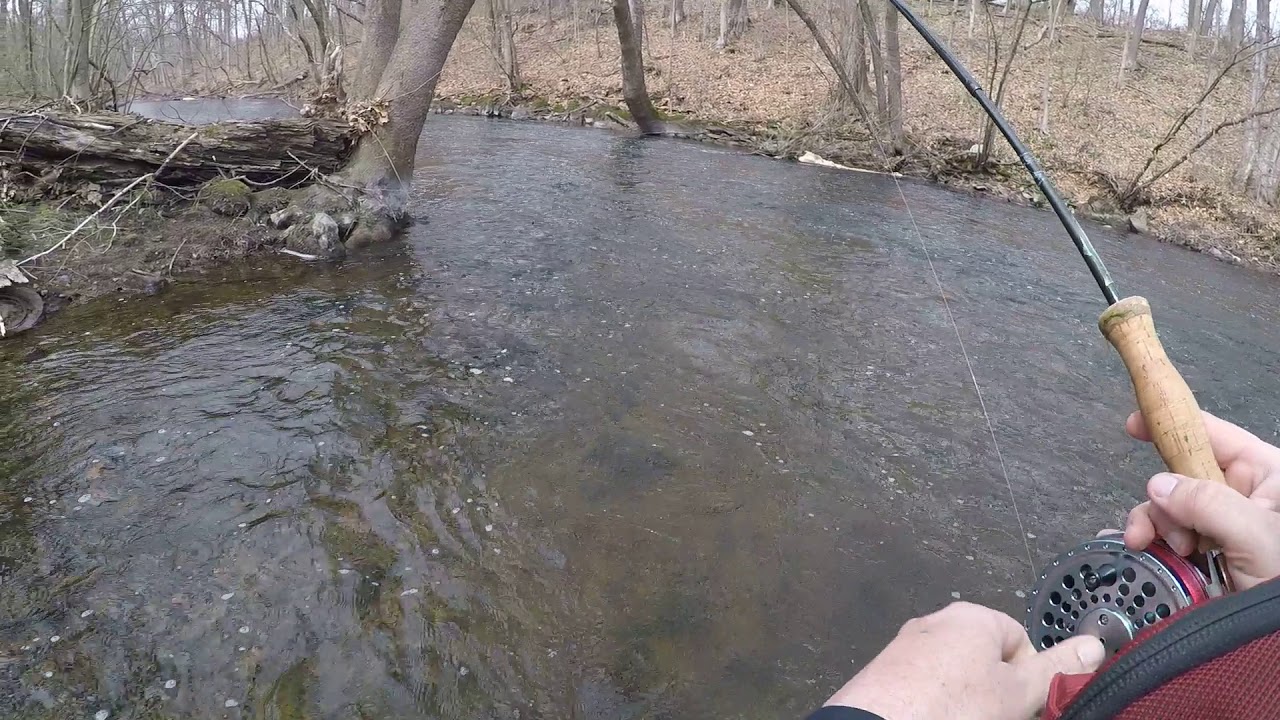New Jersey trout fishing April 2019 YouTube