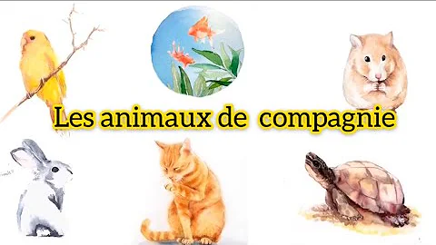 Comment trouver son nom de compagnie ?