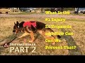 How to prevent common injuries in tripawds