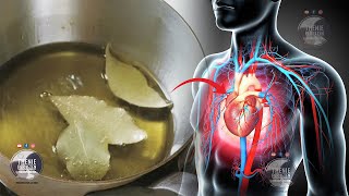 Duhet Me Patjeter Qe Ti Dini. Ja Te Normalizoni Ritmet E Zemres Suaj Vetem Duke Konsumuar Keto Pije