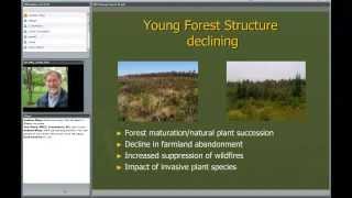 Ecology & Management of Young Forest Wildlife