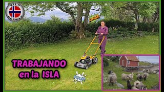 TRABAJANDO en la ISLA 😉  Kilo Norway | Vlog  2021-20