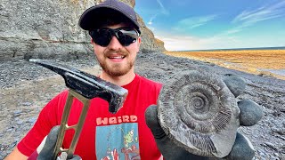 We Tried To Find Fossils Amongst Tonnes Of Pebbles!