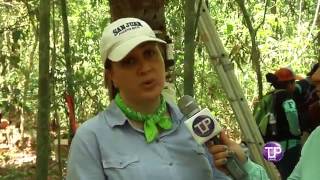 Programa Tecnológica Innova: Programa Isla Barro Colorado
