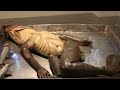 Most Unexplained Things Found in The Ocean!