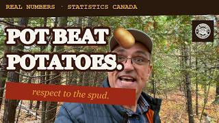 Cannabis Beat Potatoes  Statistics Canada Has the Receipts #cannabiscommunity #cannabistalk101