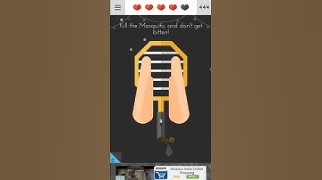 Tricky Test 2™: Genius Brain?: Kill the mosquito, and don