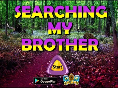 searching my brother video walkthrough