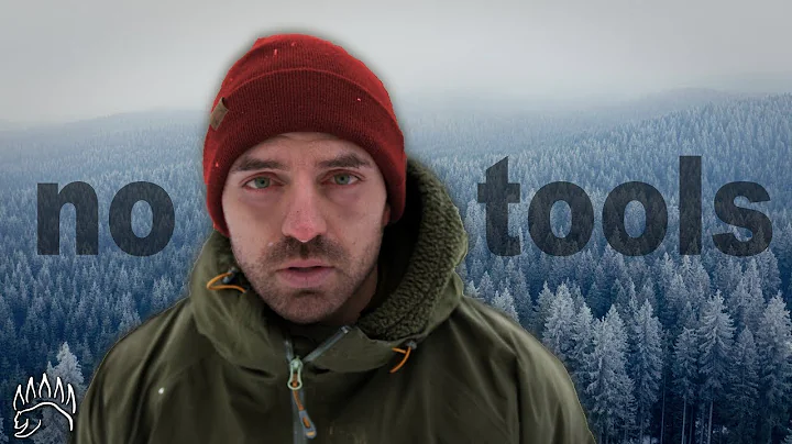 -16 Solo Winter Survival | With Only the Clothes on my Back thumbnail