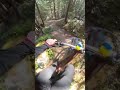 a bit loose #mtbb #fyp #mtb #quack #mountainbike #mtblife