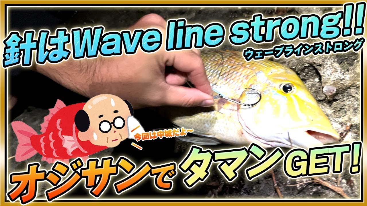 沖縄釣り オジサン 魚 でタマン釣れちゃいました 打ち込み釣り Youtube