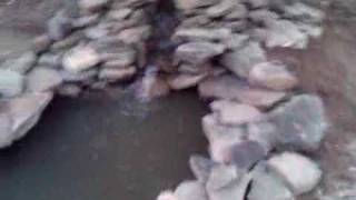 VID 00003 20090929 1750