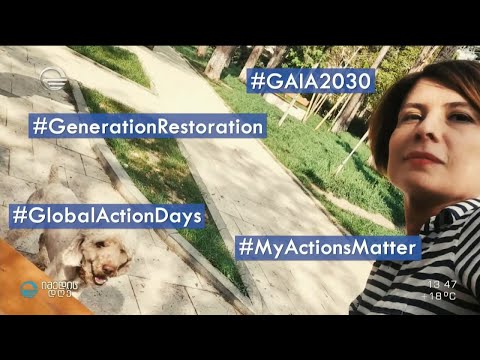 თიკო ფეიქრიშვილისა და ბუბუს მწვანე წვეულება