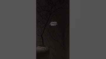 #تلاوة_خاشعة #قرآن #الحرم_المكي #تلاوات #مكة #اكسبلور #ماهر_المعيقلي #ياسر_الدوسري  #عبدالرحمن_مسعد