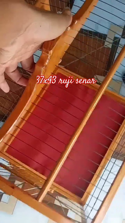 Sangkar ruji senar 500 wa 085877503751 lok klaten #kicaumania #kicaumanianusantara #sangkarburungm