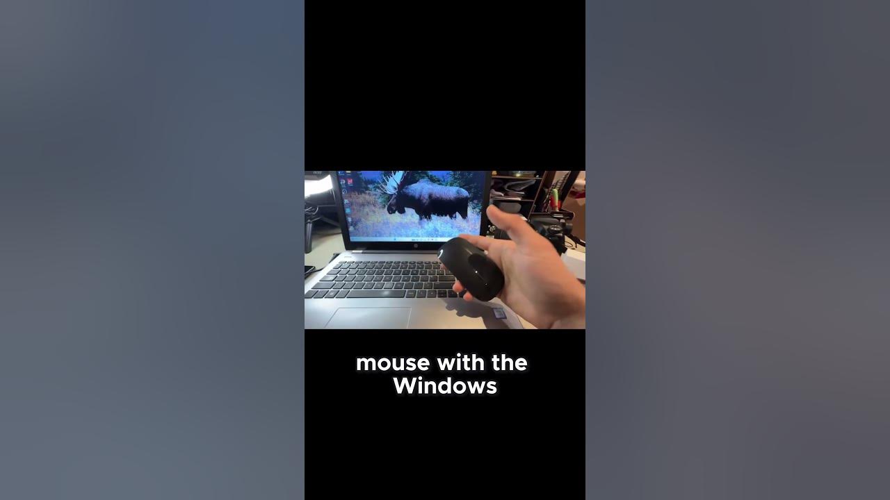 i-connected-an-apple-mouse-to-a-windows-pc-youtube