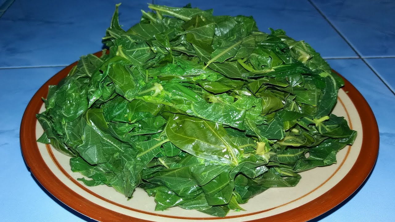 Resep Daun Singkong Padang Rebus