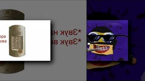 5 Shuric Scan Ice Extended’s With are Slides