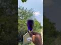 Survival Skills: SMART ideas and Useful in forest#survival #useful #ideas #smart #shorts#camping