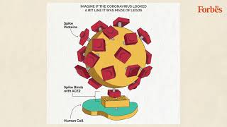 The Covid-19 virus is mutating: Here’s everything you need to know about it