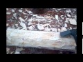 Building A Shed With Rough Cut Lumber - Preparing Poles Building A Shed With Rough Cut Lumber - Preparing Poles