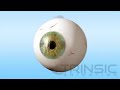 Eye medical animation reel trinsic animation    dailymotion