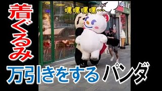 【おもしろ】着ぐるみパンダ万引!？